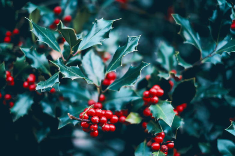 How to Get Through the First Holiday Season After the Death of a Loved One